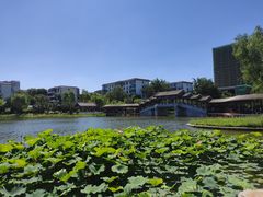 -西海子公园
