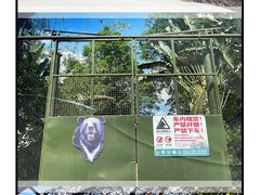 -海南热带野生动植物园