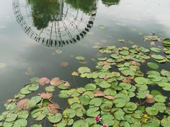 -太湖湖滨国家湿地公园-停车场