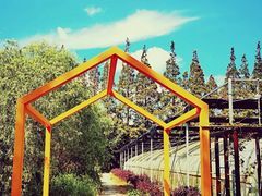 -前小桔亲子创意农场·草莓采摘·露营烧烤