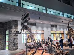 -自贡恐龙博物馆