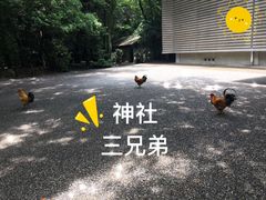 -热田神宫