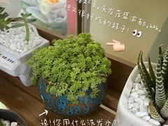 -胡桃里音乐酒馆(罗湖HALO广场店)