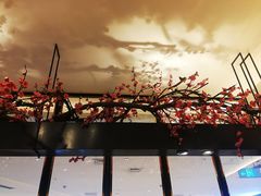 -老板恋上鱼(荣盛广场店)