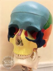 -摩瘦纤体订制减肥