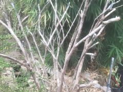 -漳州佰翔圆山酒店·圆山畔西餐厅