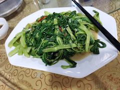 -水上鱼当家