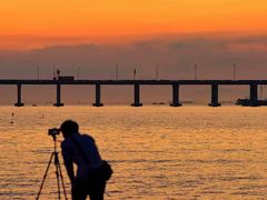 -宝安西湾红树林湿地公园