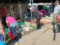 -何庄子阿米玛玛农产品批发市场