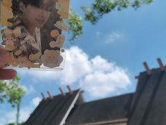 -上海野生动物园