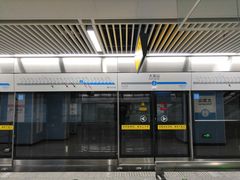 -大龙山(地铁站)