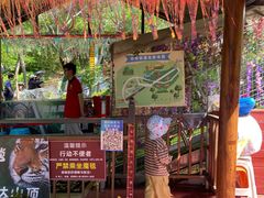 -西霞口神雕山野生动物世界