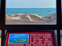 -广东惠东海龟国家级自然保护区