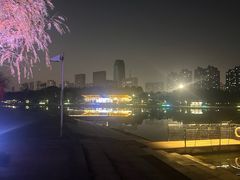 -滨湖塘西河公园
