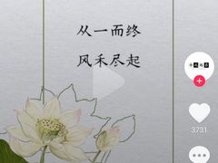 -重庆大队长火锅(凤城八路店)