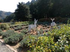 -云峰山自然风景区