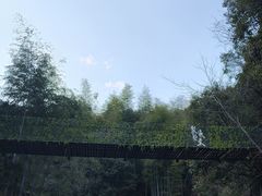 -众神白水涧景区