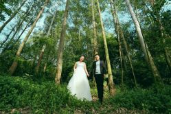 -1986婚纱摄影(清城店)