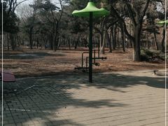 -长春市南湖公园