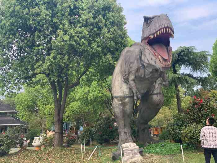 杭州恐龙梦公园-"园区面积很大,但是很多还未开发完善,如果.