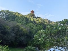 -深圳仙湖植物园