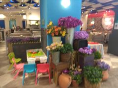 -Aqua Oasis 水天堂(相城天虹商场店)