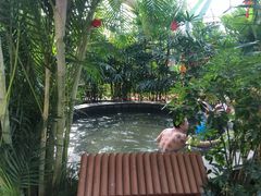 -南宫温泉水世界