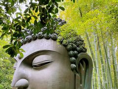 -杭州植物园