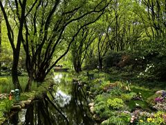 -上海共青森林公园