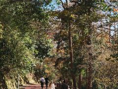 -敬亭山风景名胜区