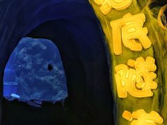 -西安曲江海洋极地公园