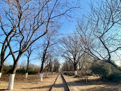 -永定河休闲森林公园