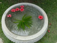 -三亚珠江南田温泉度假区