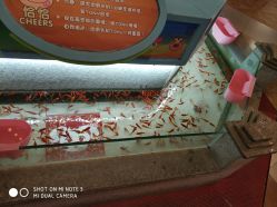 点击看大图 -卡通尼乐园(银泰店)