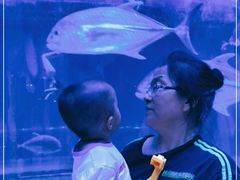 -华夏文旅海洋公园