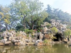 -红梅公园