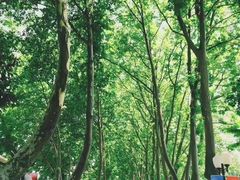 -南京航空航天大学(明故宫校区)