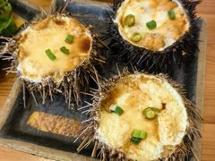 -海胆小馆(东北水饺·春柳店)