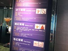 -绮丽珊瑚(台北101旗舰门市店)