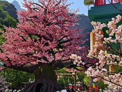-河南宝泉旅游区