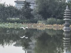 -木塔寺遗址生态公园