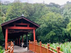 -重庆彩云湖湿地公园