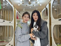 -青奢宠物·青奢猫舍