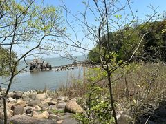 -上海吴淞炮台湾国家湿地公园