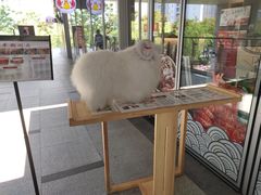 -虾满堂小龙虾烧烤(富荟广场店)