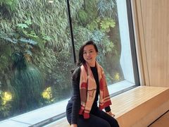 -旧金山现代艺术博物馆