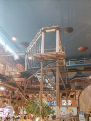 -卡通尼·Safari非洲探索乐园·生日会(金桥国际商业广场店)