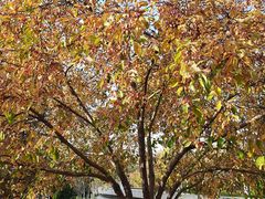 -北京国家会计学院