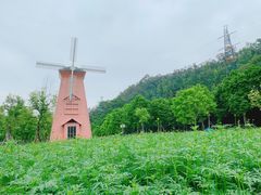 -顺峰山公园