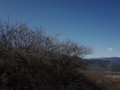 -石棉县孟获城
